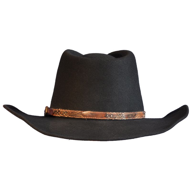 Cowboy hat PNG    图片编号:59684