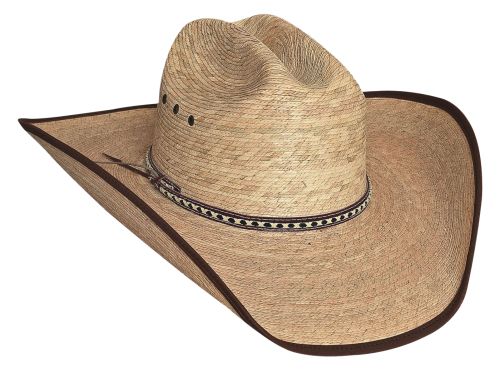 Cowboy hat PNG    图片编号:59696
