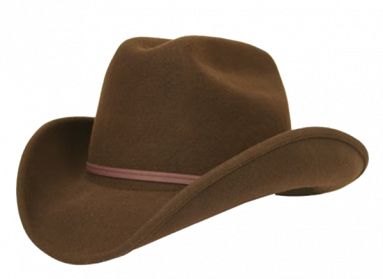 Cowboy hat PNG    图片编号:59712