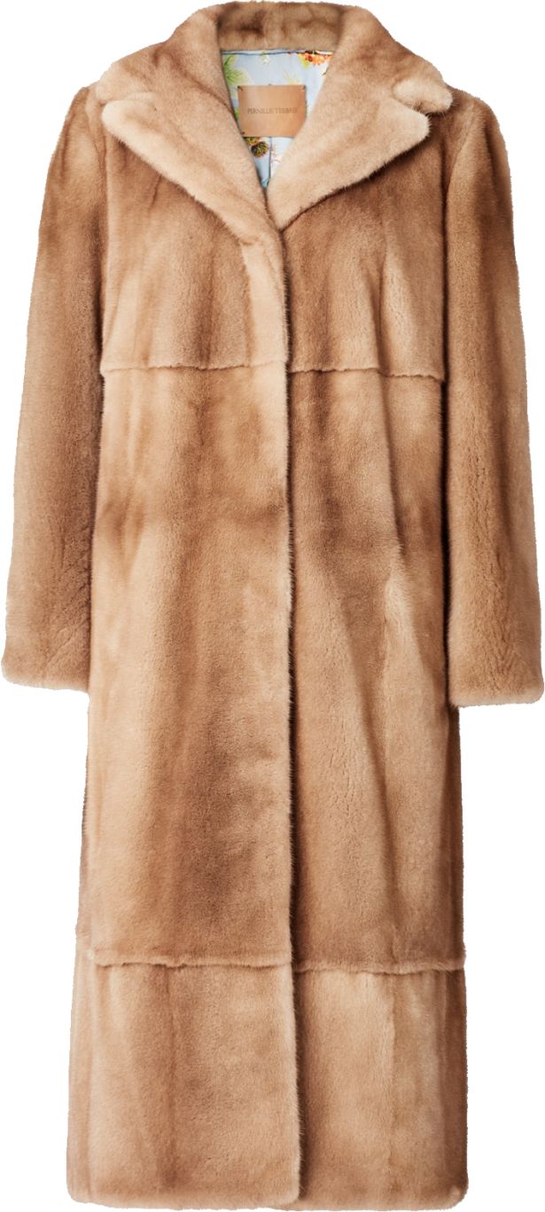 Fur coat PNG    图片编号:40211