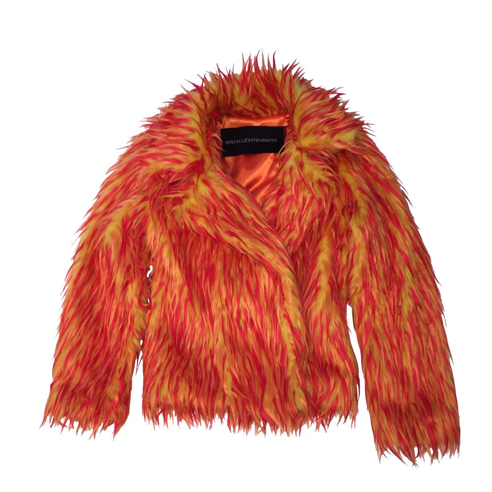 Fur coat PNG    图片编号:40237