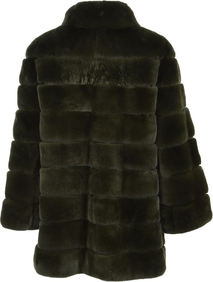 Fur coat PNG    图片编号:40212