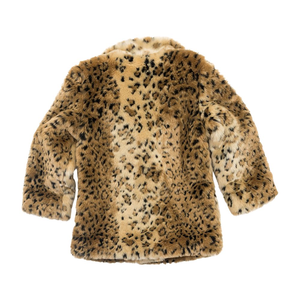Fur coat PNG    图片编号:40243
