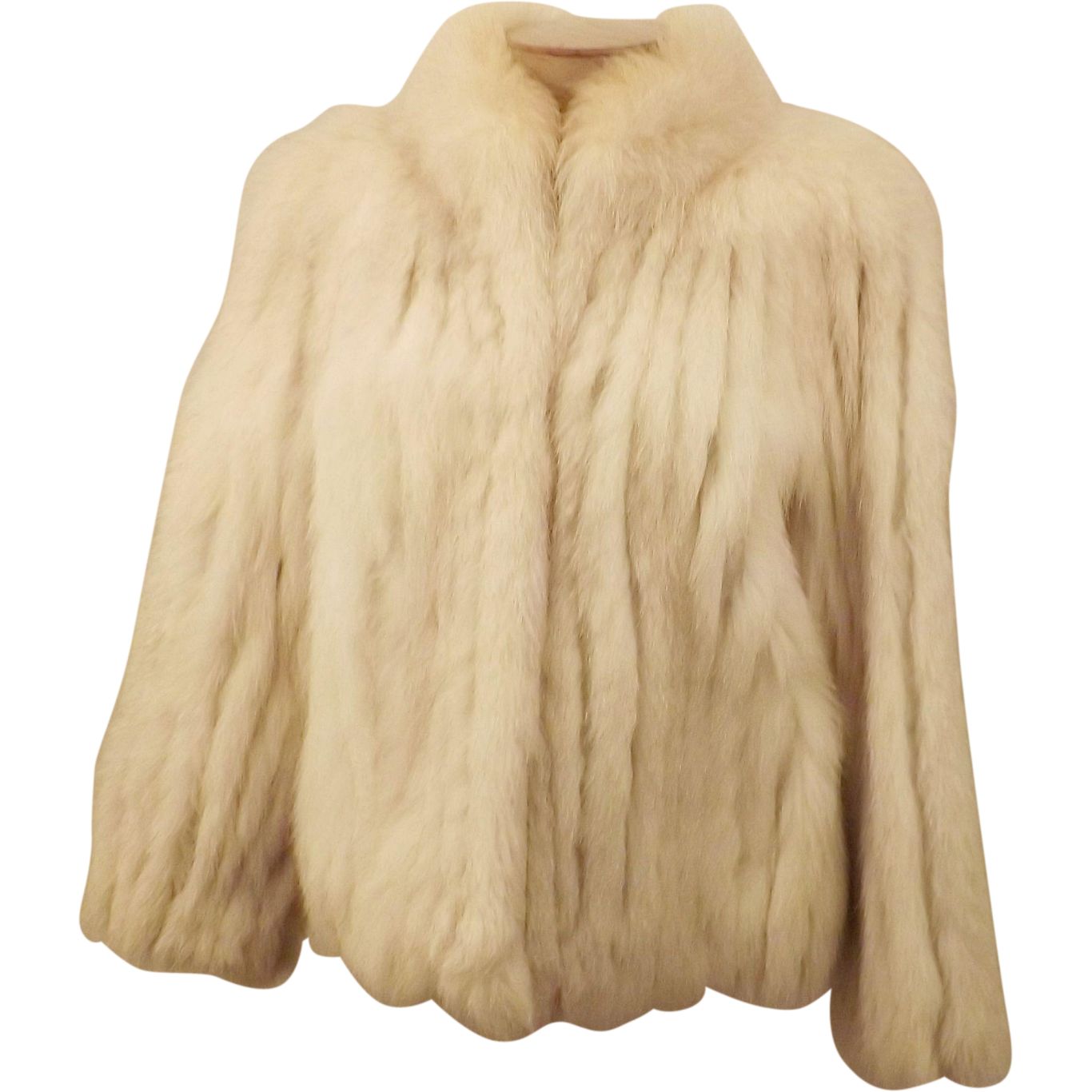 Fur coat PNG    图片编号:40249