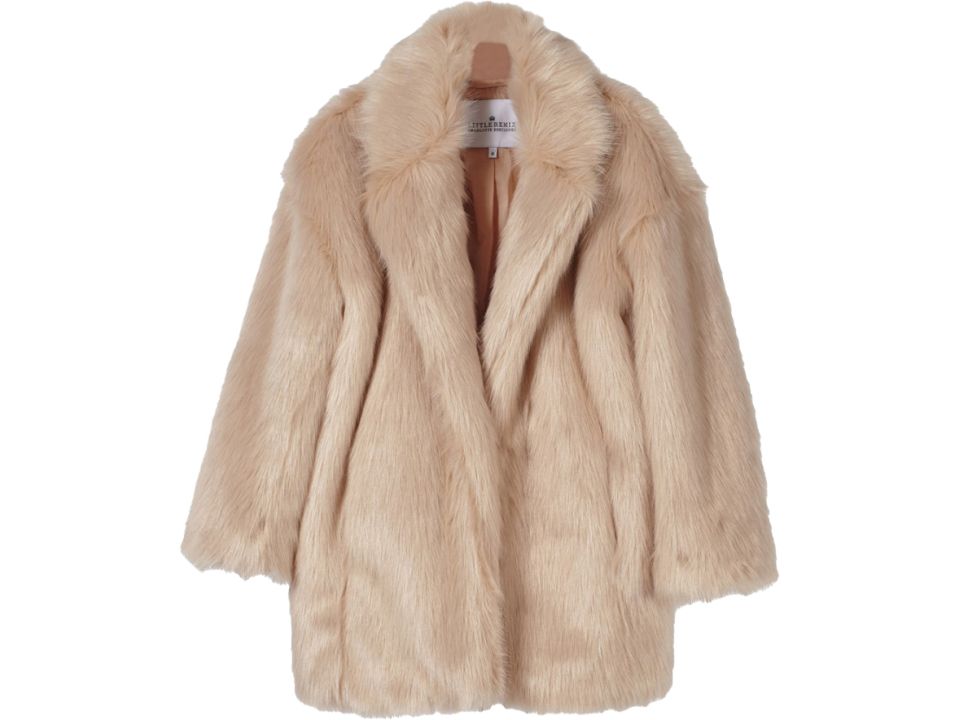 Fur coat PNG    图片编号:40256
