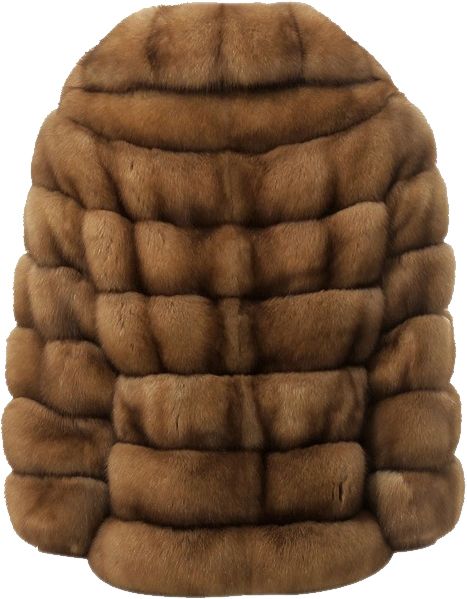 Fur coat PNG    图片编号:40216
