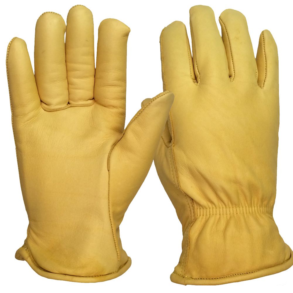 Gloves PNG    图片编号:80222