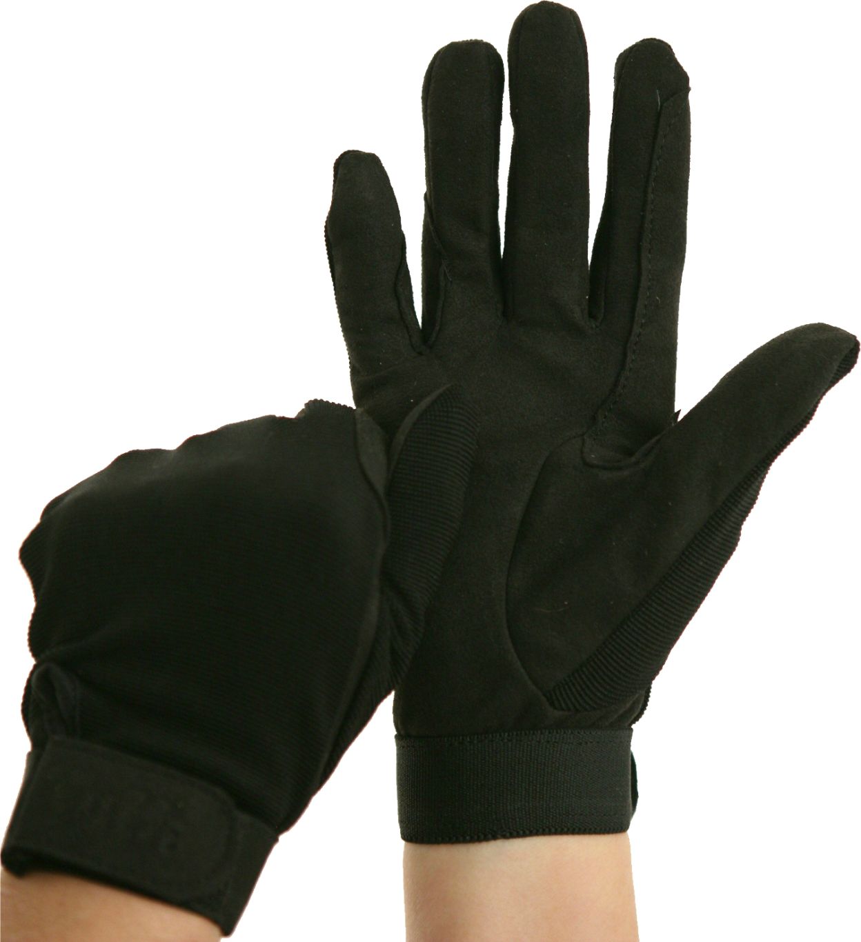 Gloves PNG    图片编号:80282