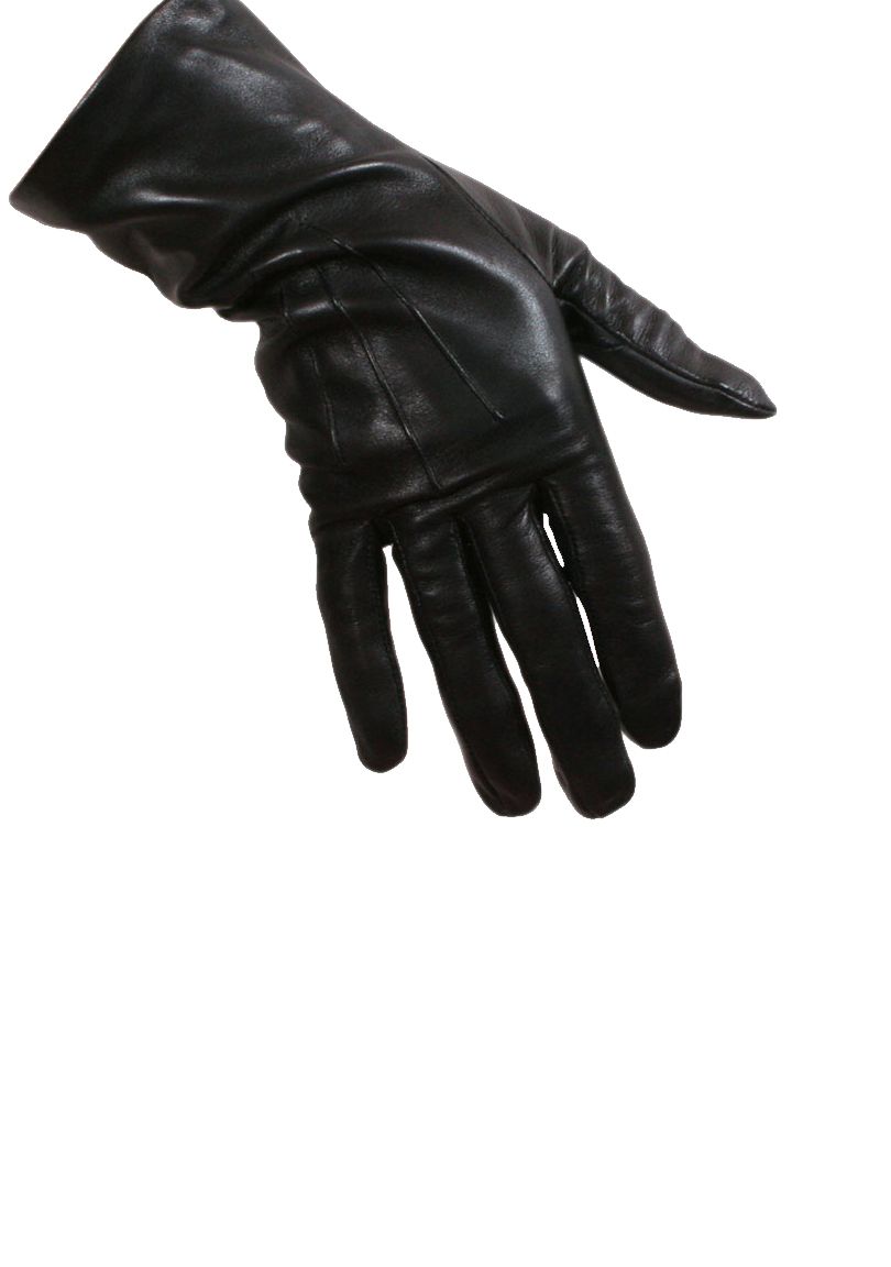 Leather gloves PNG image    图片编号:8299