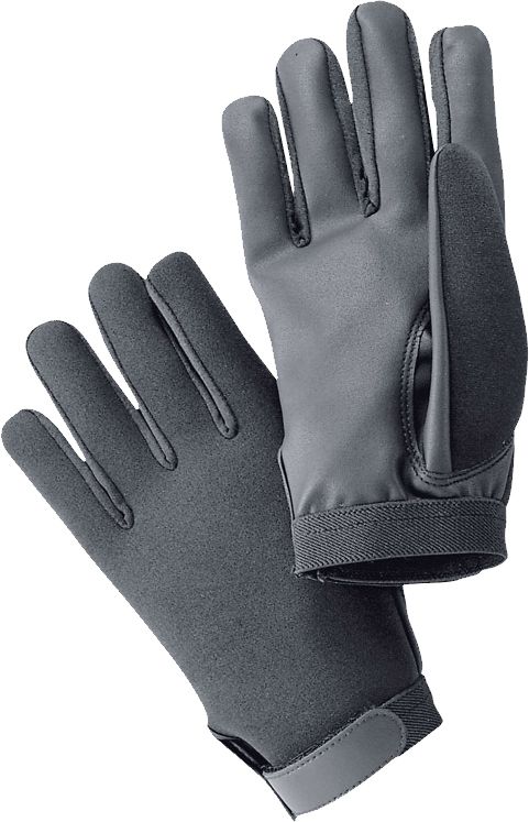 Winter gloves PNG image    图片编号:8320