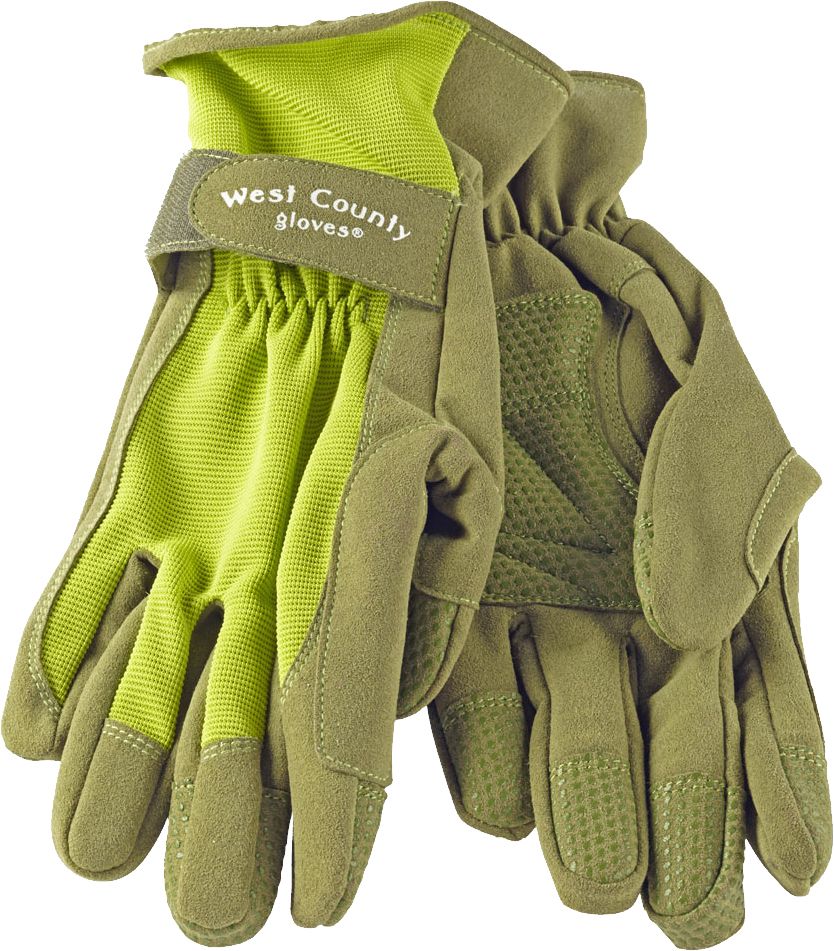 Gloves PNG image    图片编号:8322