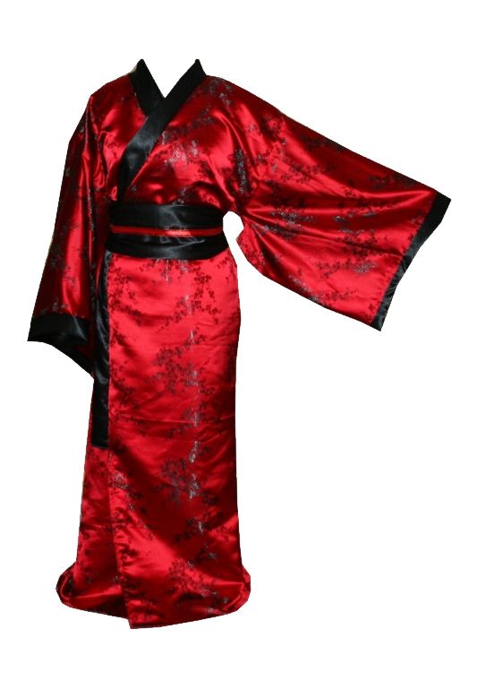 Kimono PNG    图片编号:88259