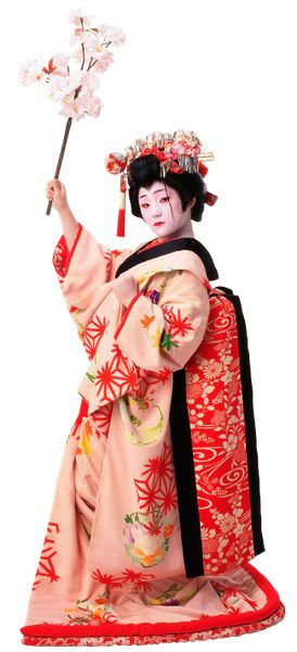 Kimono PNG    图片编号:88280