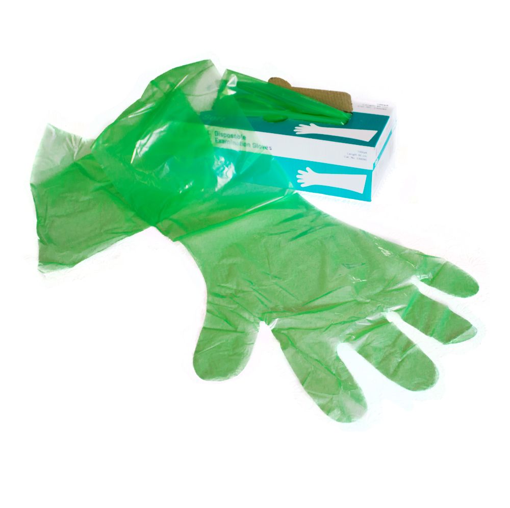 Medical gloves PNG    图片编号:81688