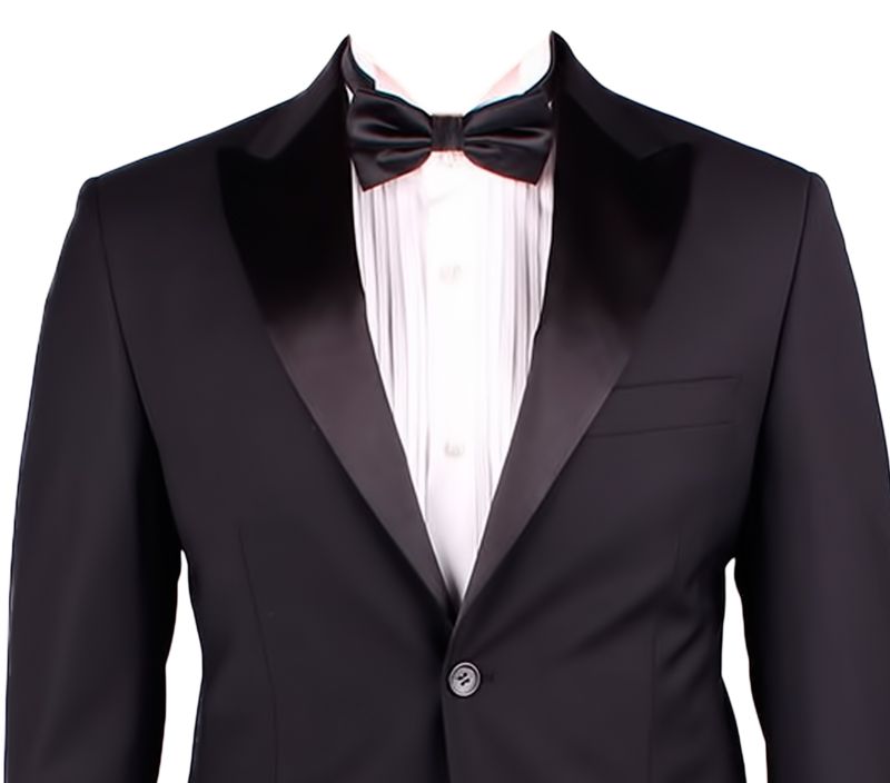 Suit PNG image    图片编号:8120