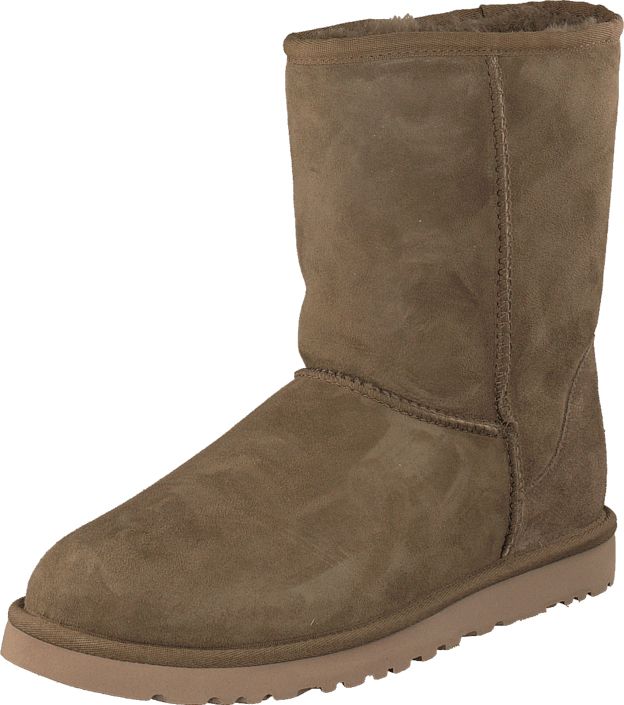 UGG boots PNG    图片编号:88421