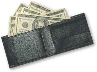 Wallet with money PNG image    图片编号:7506