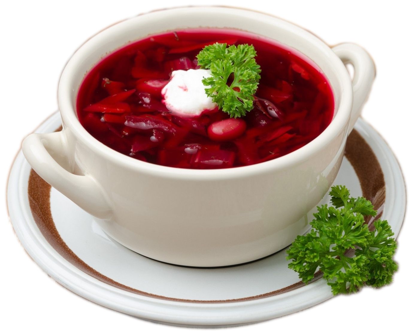 Ukraine food borscht PNG    图片编号:105107