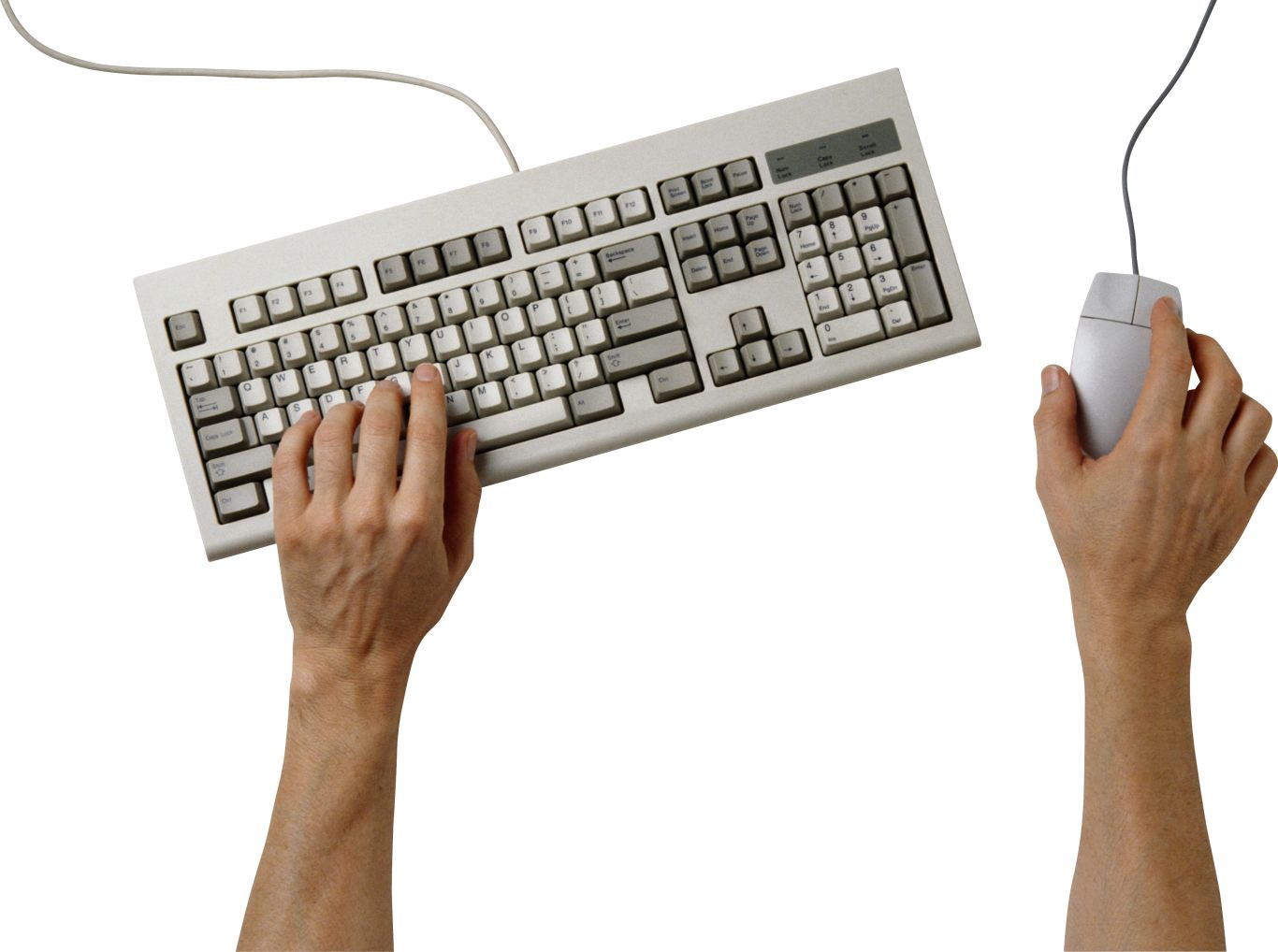 Hands on keyboard PNG image    图片编号:5856