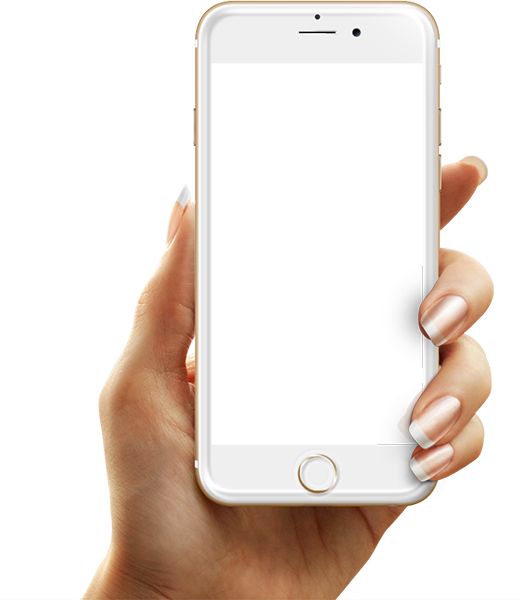 Phone in hand PNG    图片编号:49206