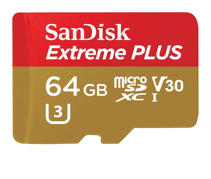 Secure Digital, SD card PNG    图片编号:64205