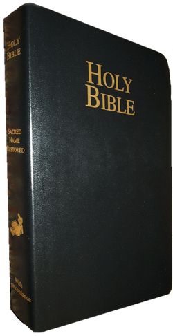 Bible PNG    图片编号:22942