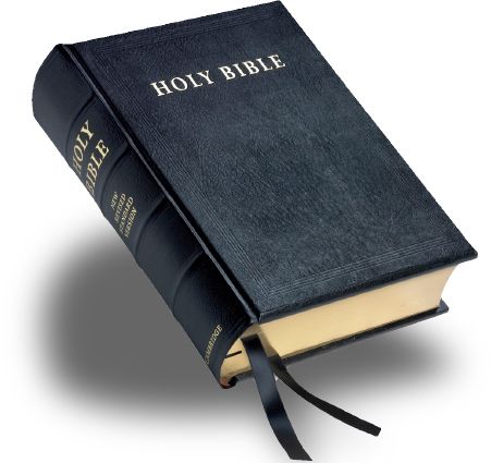 Holy Bible PNG    图片编号:22971