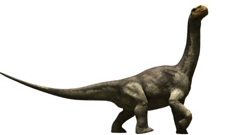 Dinosaur PNG    图片编号:16563