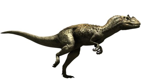 Dinosaur PNG    图片编号:16564