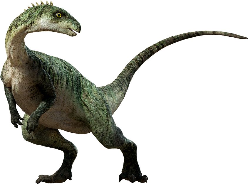 Dinosaur PNG    图片编号:16572