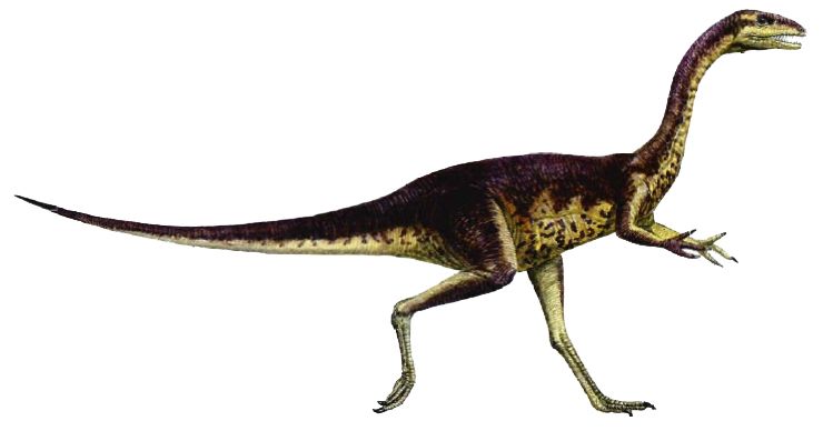 Dinosaur PNG    图片编号:16577