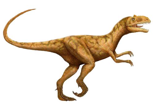 Dinosaur PNG    图片编号:16595