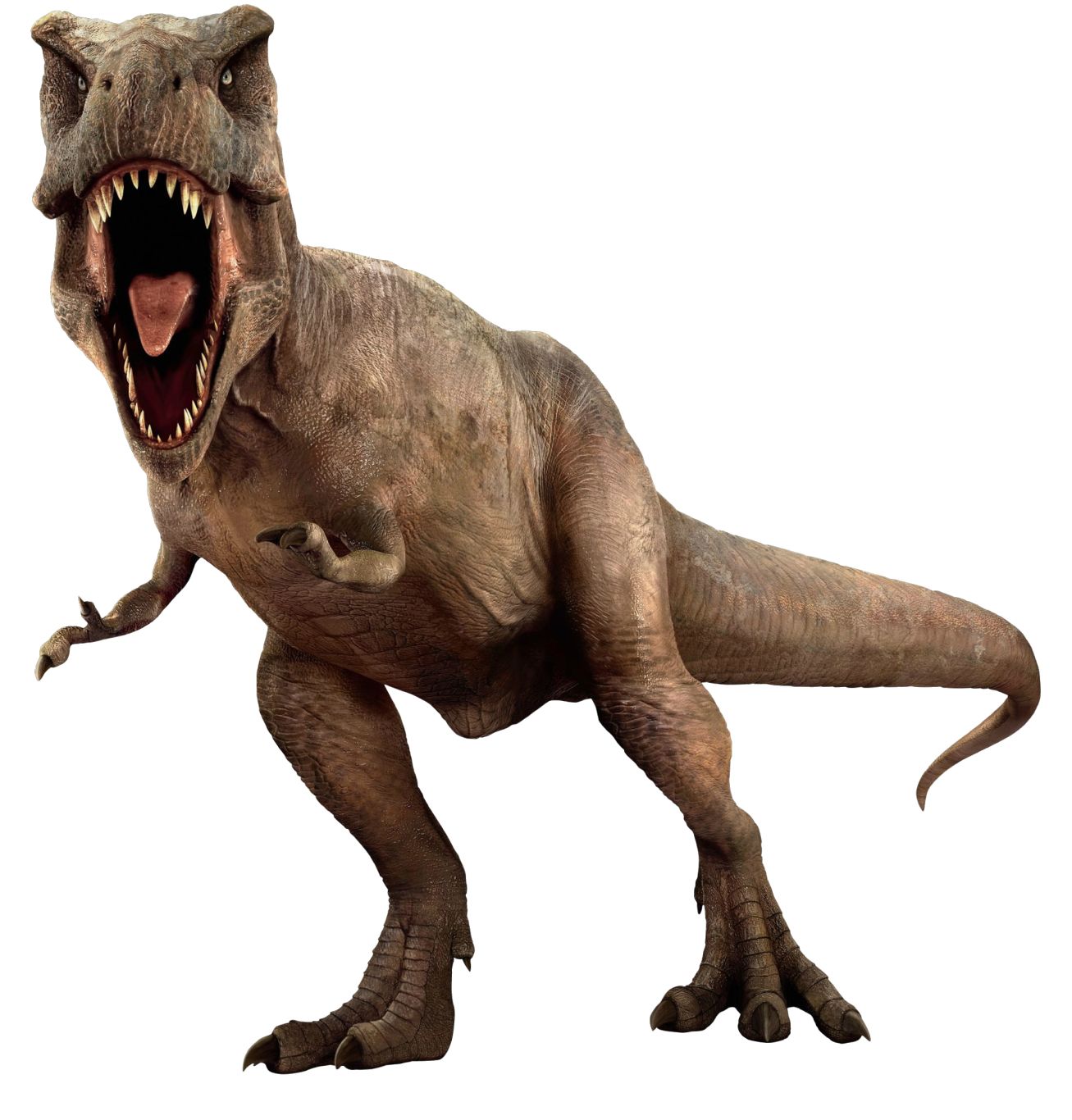 Dinosaur PNG    图片编号:16604