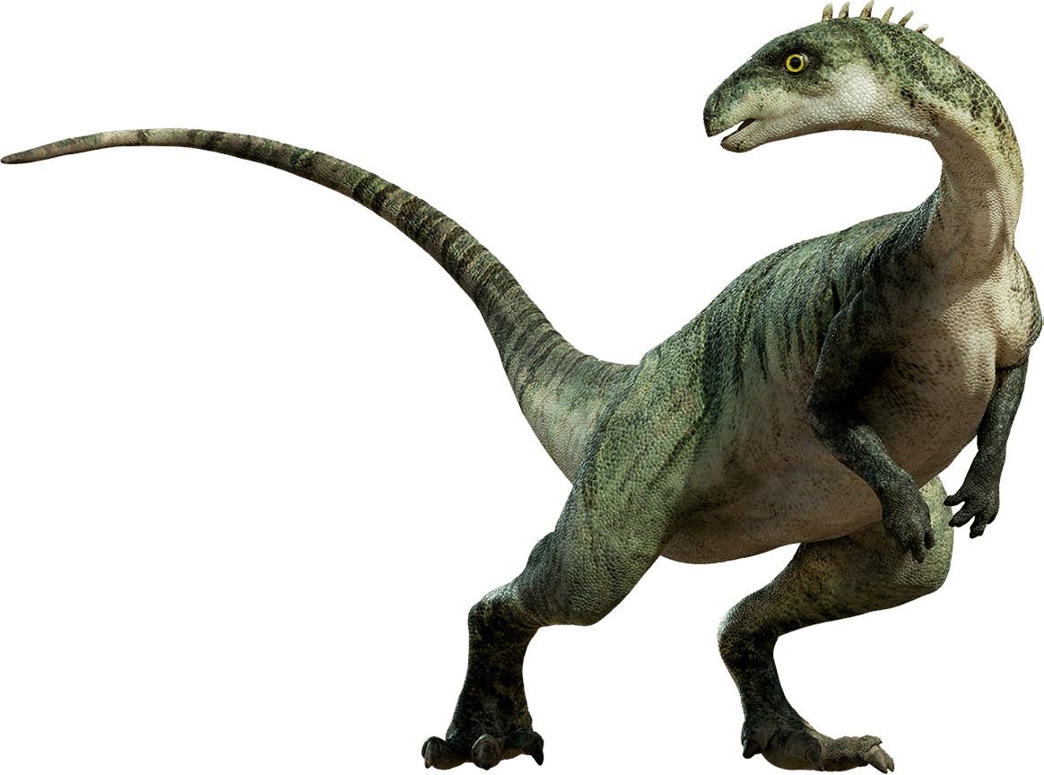 Dinosaur PNG    图片编号:16609