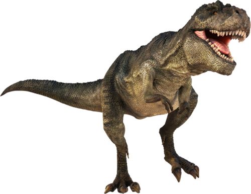 Dinosaur PNG    图片编号:16611
