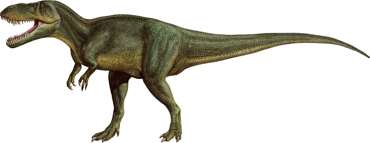 Dinosaur PNG    图片编号:16613