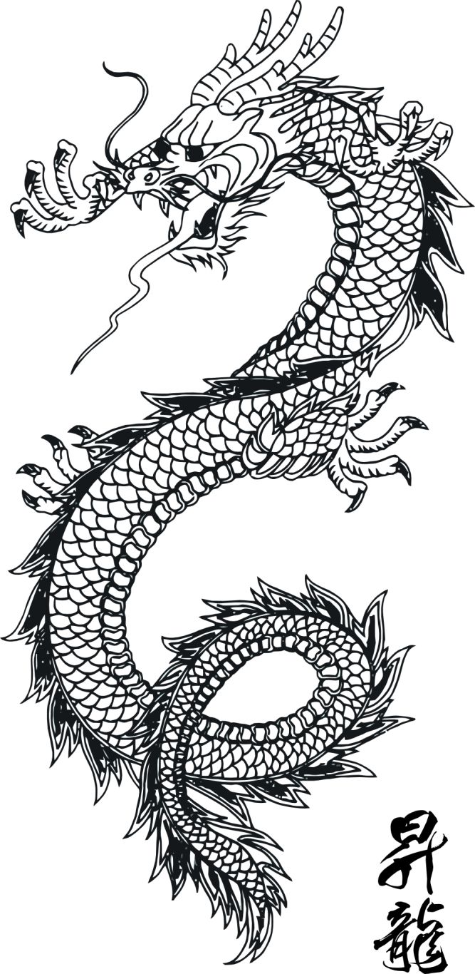 Black tattoo dragon PNG images    图片编号:990