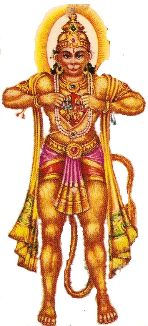 Hanuman PNG    图片编号:63995