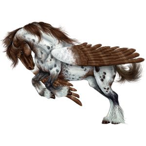 Pegasus PNG    图片编号:24956