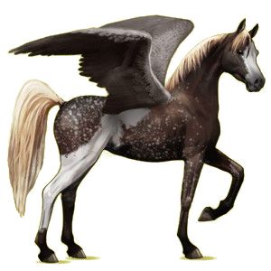 Pegasus PNG    图片编号:24965