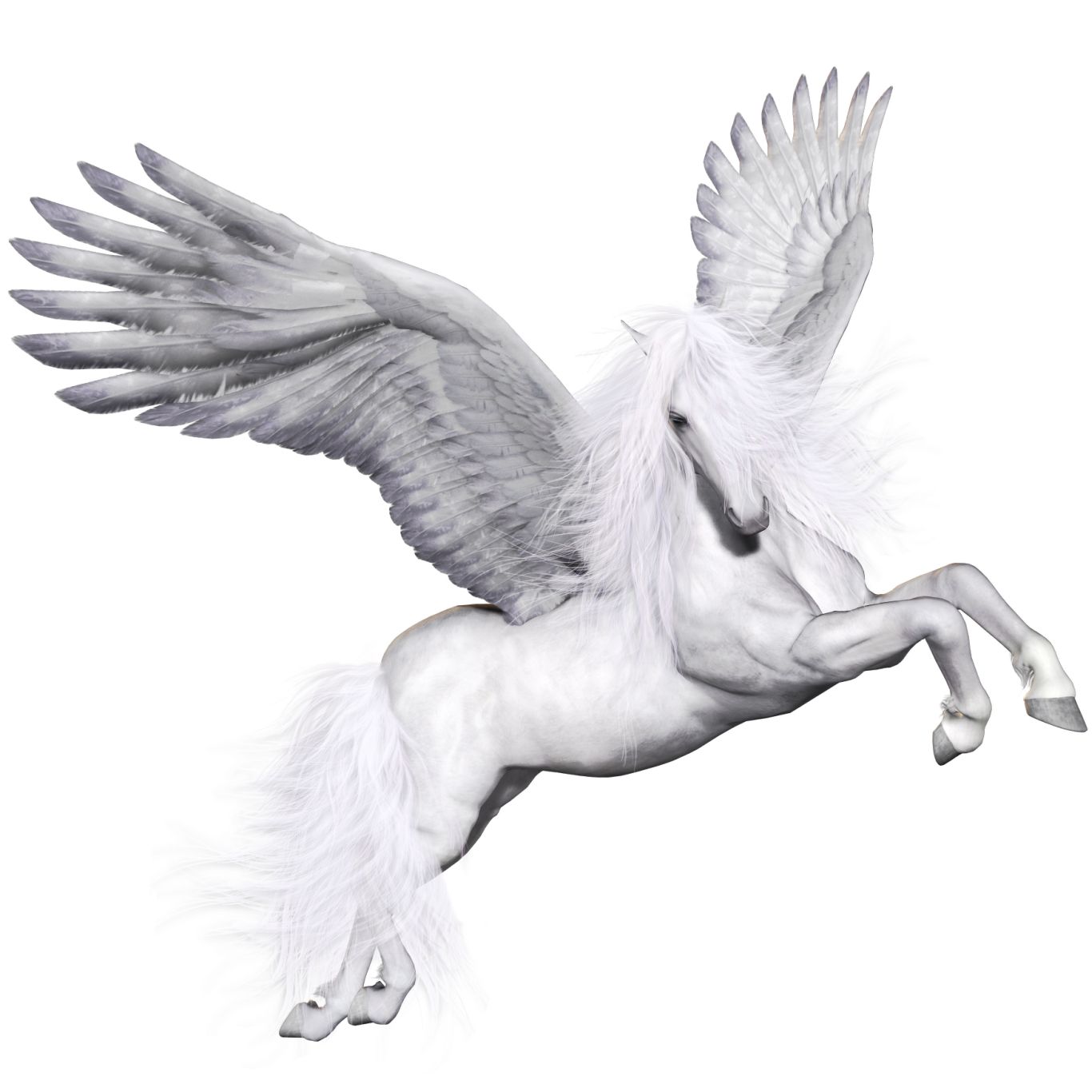 Pegasus PNG    图片编号:24968