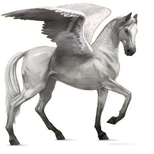 Pegasus PNG    图片编号:24970