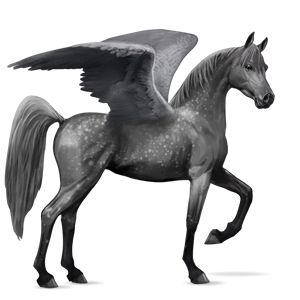 Pegasus PNG    图片编号:24971