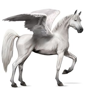Pegasus PNG    图片编号:24972
