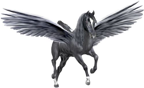 Pegasus PNG    图片编号:24973
