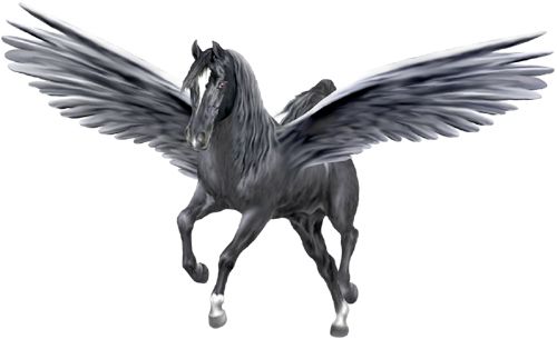 Pegasus PNG    图片编号:24974