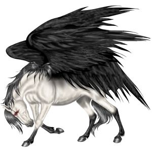 Pegasus PNG    图片编号:24957