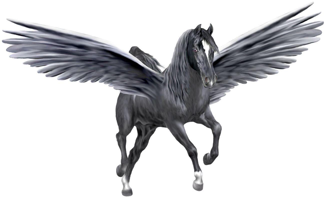 Pegasus PNG    图片编号:24977
