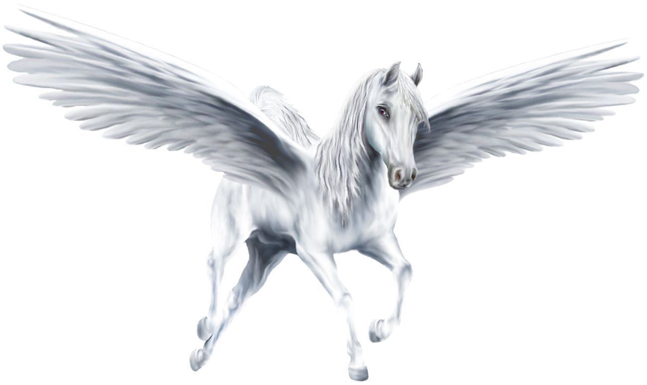 Pegasus PNG    图片编号:24978