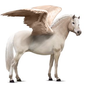 Pegasus PNG    图片编号:24980